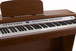 PL-450 Dark Apple 3