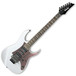 RG2550Z-GW