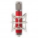 Avantone CV-12 Tube Studio Microphone - With Spider Mount