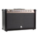 amp
