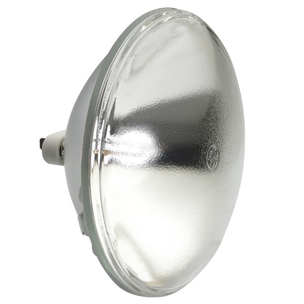 LAMP31
