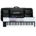 Novation 61 SL Mk2 MIDI Controller Keyboard with FREE Bag