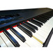 Studiologic Numa Nero, Controller Keyboard