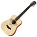 Taylor Swift Baby Taylor Travel Acoustic Guitar