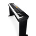 Casio CDP-220R Digital Piano UK Exclusive - big