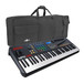 Akai MPK261 MIDI Controller Keyboard with FREE Bag