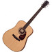 Larrivee L-09E Rosewood Artist Series Electro-Acoustic Guitar