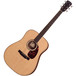 Larrivee D-09 Rosewood Artist Series Acoustic Guitar