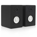 SubZero SZ-5A Studio Monitors