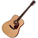 Larrivee D-10 Rosewood Deluxe Series Acoustic Guitar