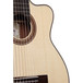 Ibanez G208CWC 8-String Classical Acoustic Guitar