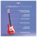 VISIONSTRING Bass Guitar Infographic