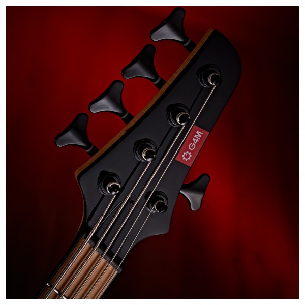 G4M 972 Fanned Fret 5-String, Blue Burl Burst