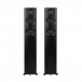 elac-carina-fs