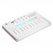 MiniLab MK3 MIDI Keyboard, Alpine White - Angled 2