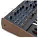 Dave Smith Instruments OB-6