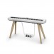 Casio PX S7000 Digital Piano, White