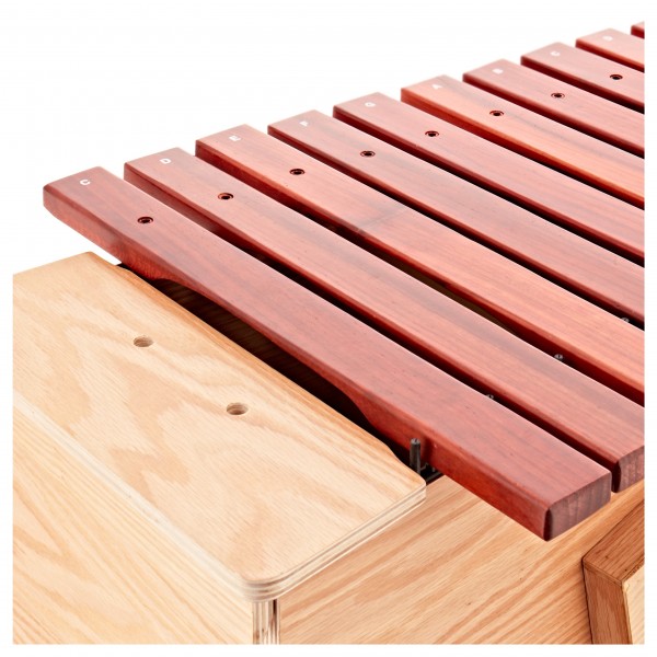 Premier NXT GEN Bass Xylophone, Diatonic at Gear4music