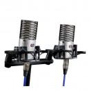 Aston Origin Stereo Pair