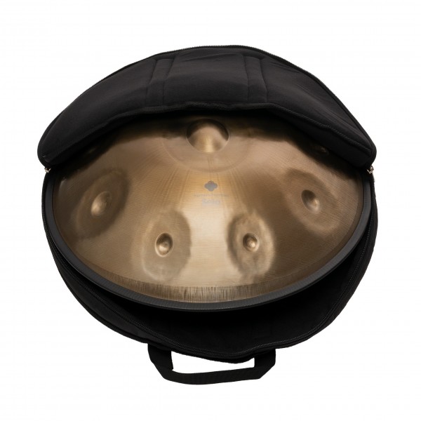 handpan in bag