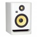 RP5 G4 Studio Monitors, White Noise - Angled Single
