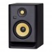 ROKIT RP5 G4 Studio Monitor - Angled Single