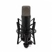 NT1 Signature Condenser Microphone, Black - Rear with Mount