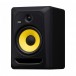 RP8 Classic Studio Monitor - Angled Single