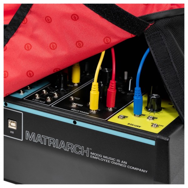 Matriarch Synthesizer Dust Cover - Cable Detail