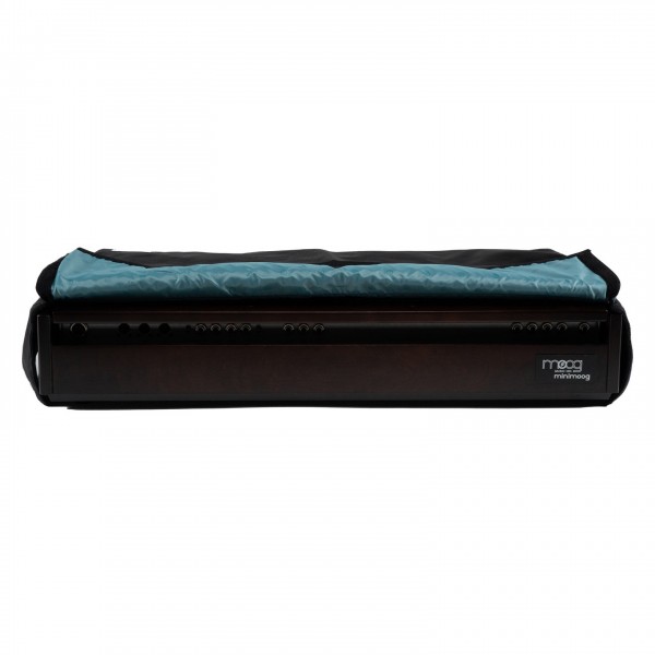 Moog Model D Synthesizer Dust Cover - Rear