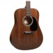 Martin D 19 190th Anniversary