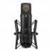 NT1 Studio Condenser Microphone - Front with Mount