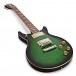 Epiphone DC Pro, Wild Ivy