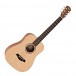 Taylor 214ce DLX Grand Auditorium, Black  w/ FREE Taylor Baby BT1