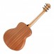 GS Mini Sapele