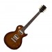 Gibson Les Paul Special Pro Electric Guitar, Honey Burst