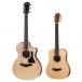 Taylor 212ce Electro Acoustic, Natural w/ FREE Taylor Baby BT1