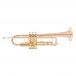 Bach TR355G Student Trumpet