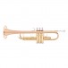 Bach TR355G Student Trumpet