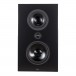 Lyngdorf FR-1 Full Range On Wall Speaker (Single), Matte Black