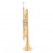 Bach TR555G Intermediate Trumpet