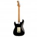 Fender Ltd Ed Player Stratocaster Roasted Neck Fat '60s Pickups Black