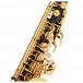 Grassi SAL700 School Series Alto Saxophone, Black