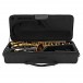 Grassi SAL700 School Series Alto Saxophone, Black