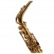 Elkhart 100AS Student Alto Saxophone - Secondhand