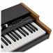 Viscount Legend Solo Portable Organ