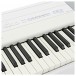 Yamaha P515 Digital Piano, White close