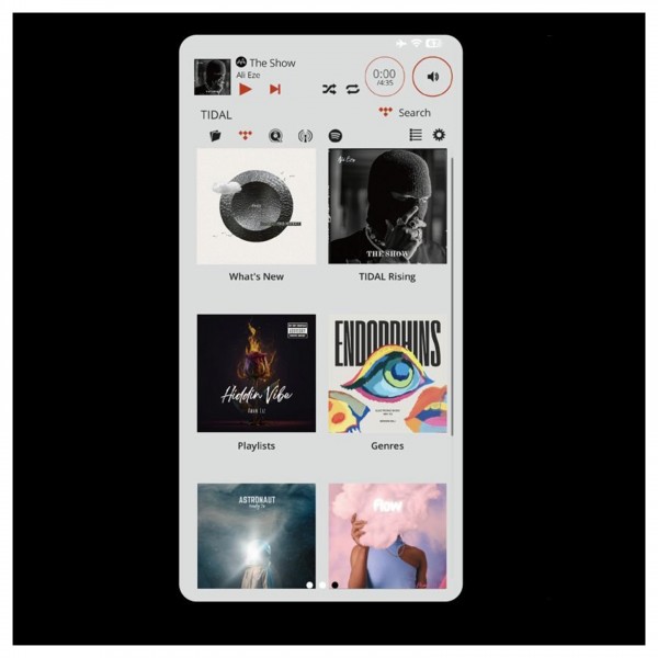 Audiolab 9000N Network Streamer, Silver App View
