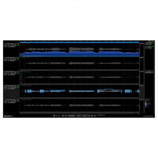 SynchroArts Revoice Pro 5 - Editing page
