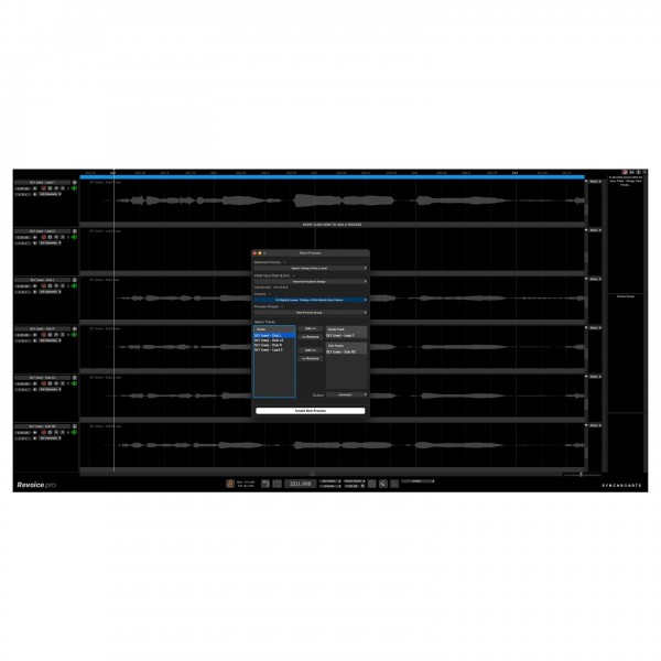 SynchroArts Revoice Pro 5 - New Settings